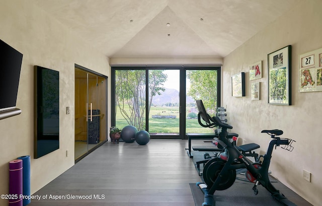 3333 Snowmass Creek Rd, Snowmass, CO 81654 - workout room featuring vaulted ceiling and wood finished floors
