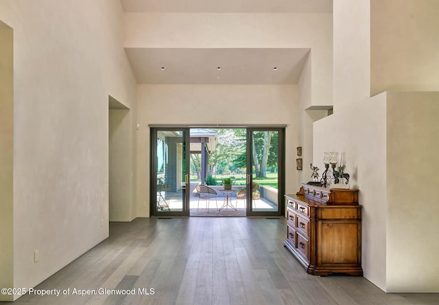 3333 Snowmass Creek Rd, Snowmass, CO 81654 - doorway featuring a towering ceiling and wood finished floors