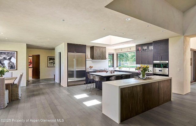 3333 Snowmass Creek Rd, Snowmass, CO 81654 - kitchen featuring stainless steel built in refrigerator, a large island, wood-type flooring, a skylight, and recessed lighting