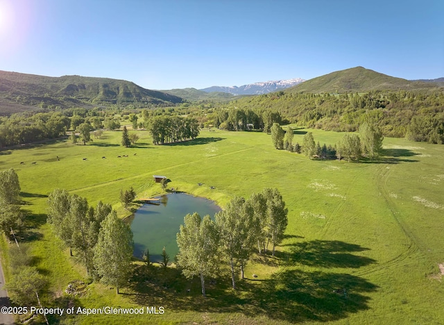 3333 Snowmass Creek Rd, Snowmass, CO 81654 - view of mountain background with a nearby body of water and rural landscape