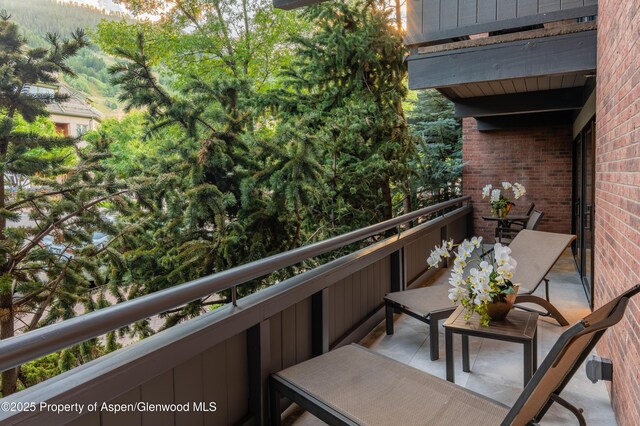 617 E Cooper Ave Unit 110, Aspen, CO 81611 - photo 30