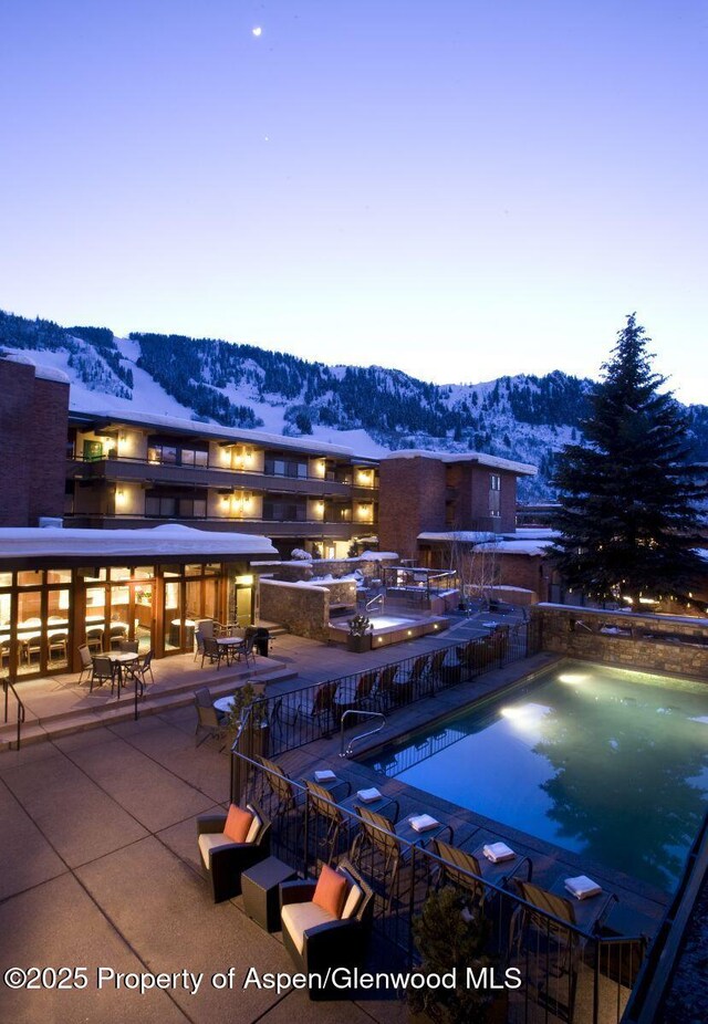 617 E Cooper Ave Unit 110, Aspen, CO 81611 - photo 3