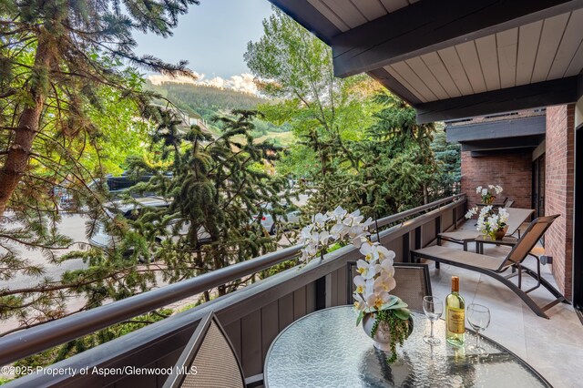 617 E Cooper Ave Unit 110, Aspen, CO 81611 - photo 28