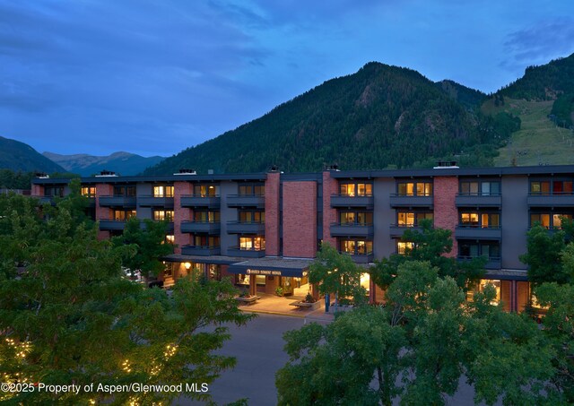 617 E Cooper Ave Unit 110, Aspen, CO 81611 - photo 4