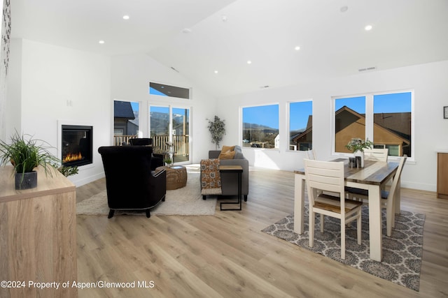 living room featuring light hardwood / wood-style flooring and lofted ceiling