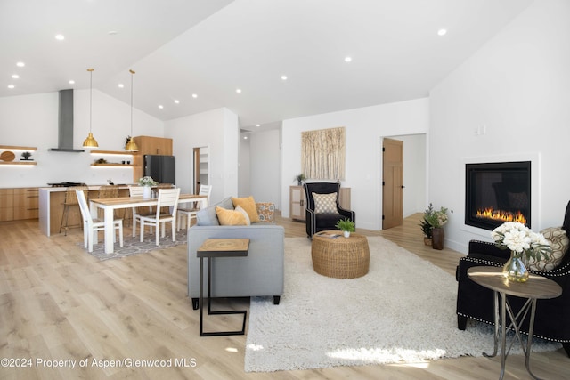 living room with vaulted ceiling and light hardwood / wood-style flooring