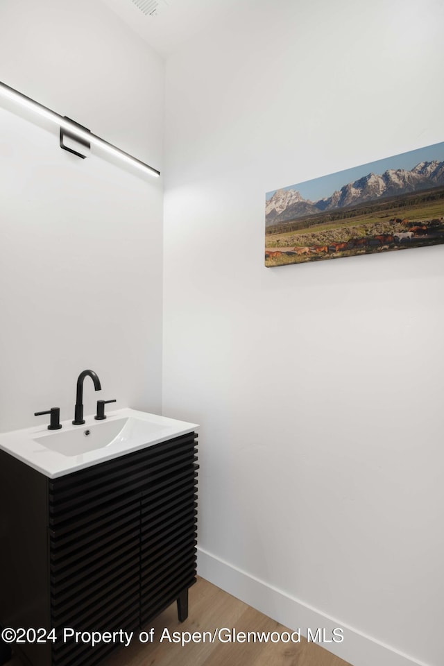 bathroom with wood-type flooring and sink