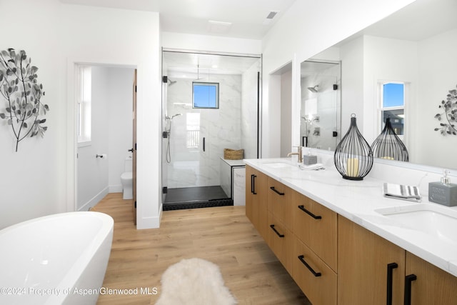 full bathroom with vanity, plenty of natural light, wood-type flooring, and plus walk in shower