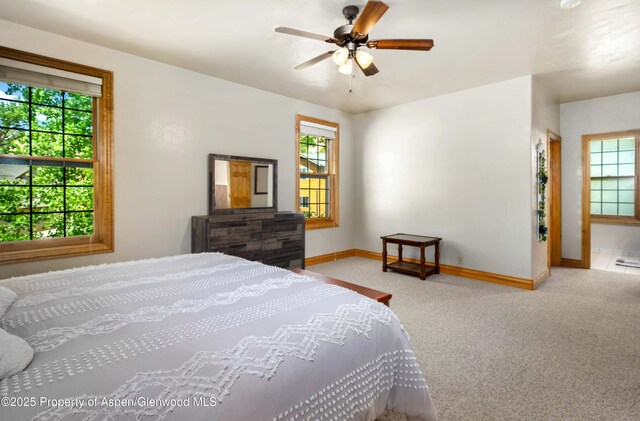 2687 Fairview Heights Ct, Rifle, CO 81650 - photo 20