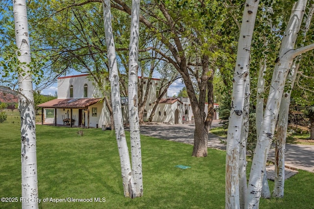 2459 Emma Rd, Basalt, CO 81621 - view of grassy yard