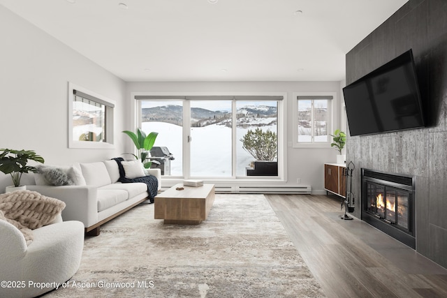 living room with a large fireplace and light hardwood / wood-style floors