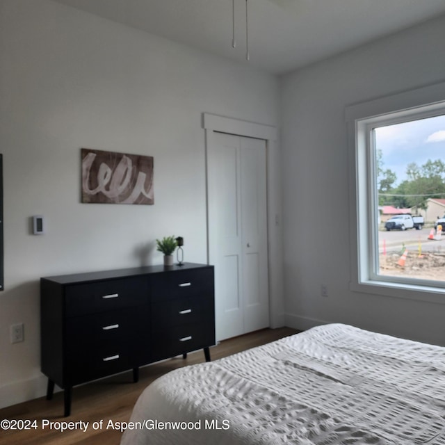 bedroom with dark hardwood / wood-style flooring and a closet