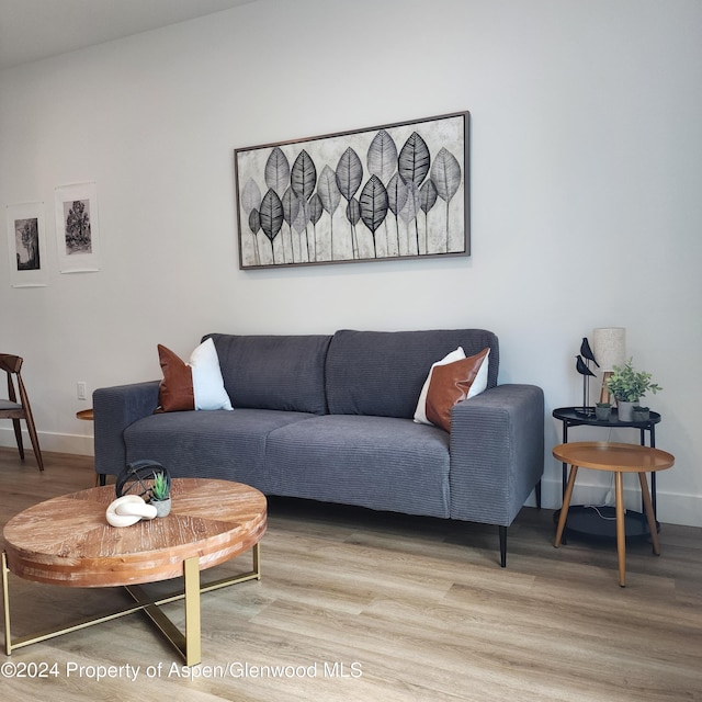 living room with wood-type flooring