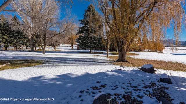 view of yard covered in snow