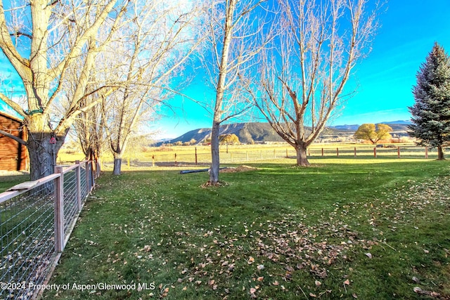 view of yard featuring a mountain view and a rural view