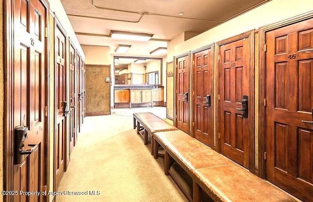 mudroom featuring light carpet