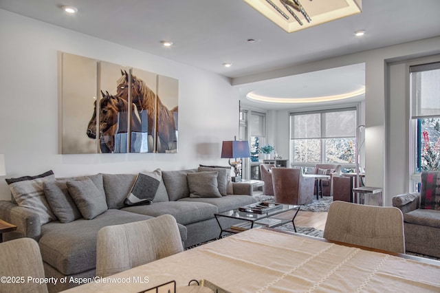 living room with a tray ceiling and hardwood / wood-style floors