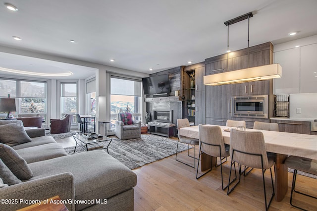 living room featuring light hardwood / wood-style floors