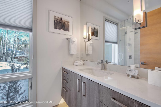 bathroom featuring vanity and an enclosed shower