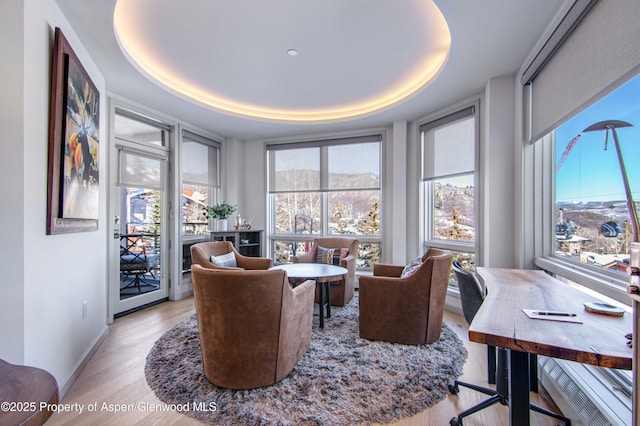 interior space with a raised ceiling and light hardwood / wood-style floors