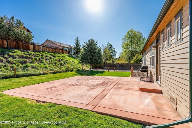 440 Stage Coach Ln, New Castle, CO 81647 - view of patio / terrace featuring area for grilling and a fenced backyard