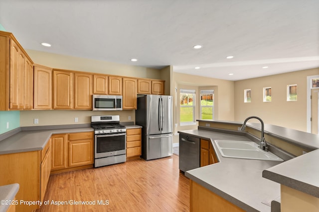 440 Stage Coach Ln, New Castle, CO 81647 - kitchen featuring recessed lighting, light wood-type flooring, stainless steel appliances, and a sink