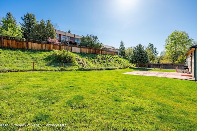 440 Stage Coach Ln, New Castle, CO 81647 - view of yard featuring a patio and fence private yard