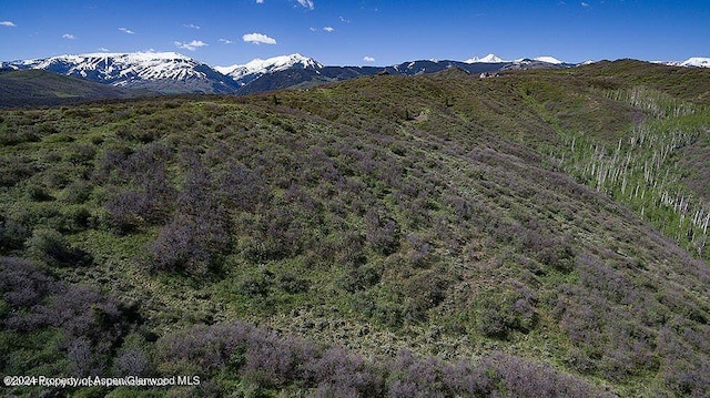 0 Rabbit Way, Snowmass, CO 81654 - photo 6