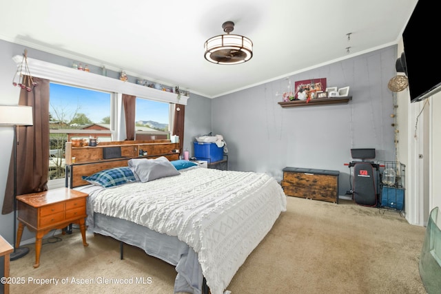 bedroom with crown molding and carpet flooring