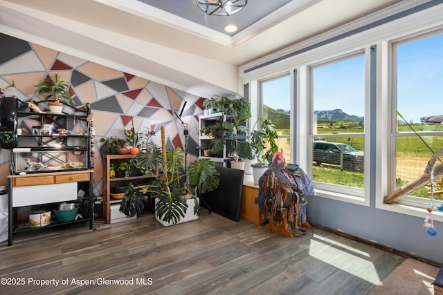 interior space featuring wood finished floors, a healthy amount of sunlight, a raised ceiling, and baseboards