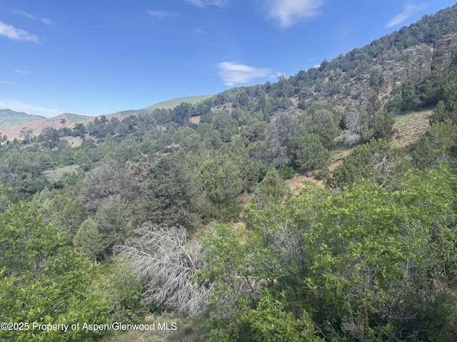 718 Silver Oak Dr, Glenwood Springs, CO 81601
