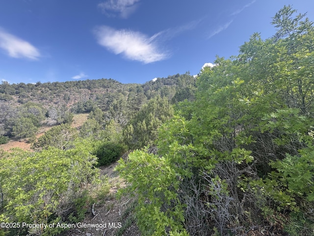 718 Silver Oak Dr, Glenwood Springs, CO 81601