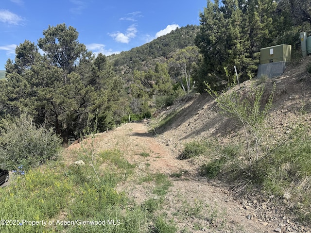 718 Silver Oak Dr, Glenwood Springs, CO 81601