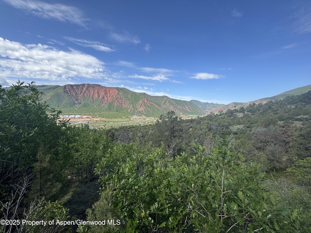 718 Silver Oak Dr, Glenwood Springs, CO 81601