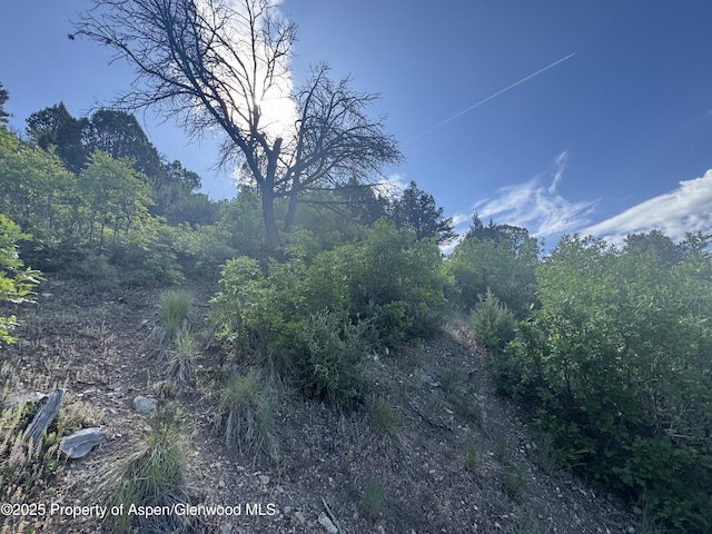 718 Silver Oak Dr, Glenwood Springs, CO 81601