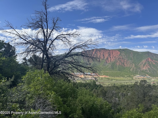 718 Silver Oak Dr, Glenwood Springs, CO 81601