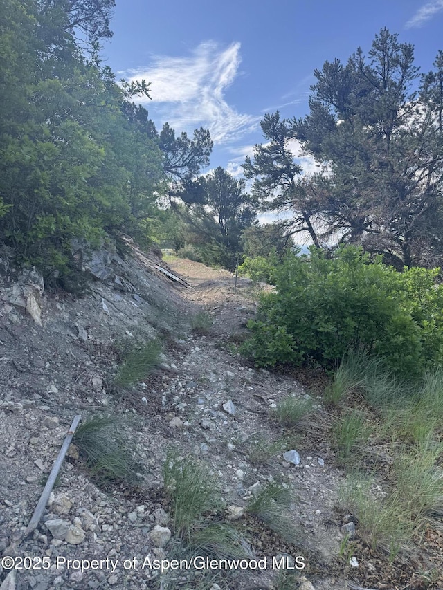 718 Silver Oak Dr, Glenwood Springs, CO 81601