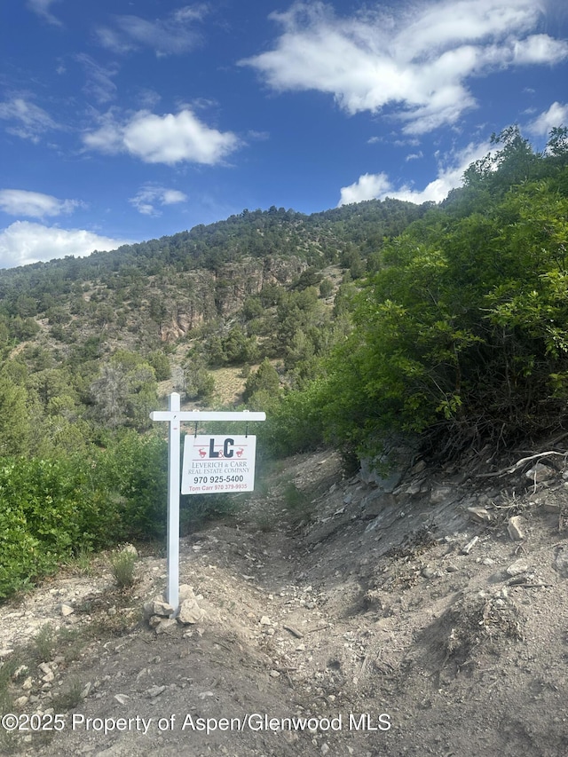 718 Silver Oak Dr, Glenwood Springs, CO 81601