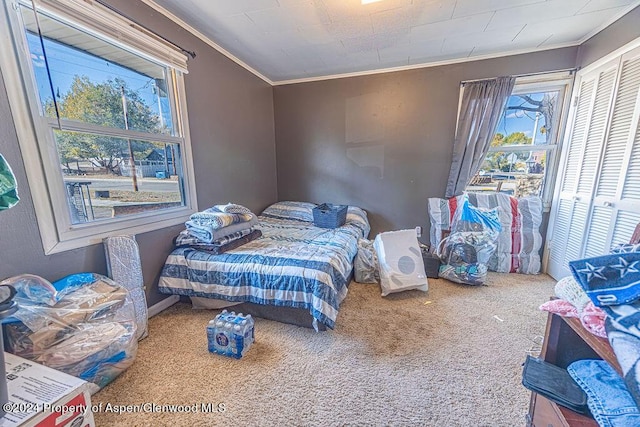 bedroom featuring a closet, carpet floors, and ornamental molding