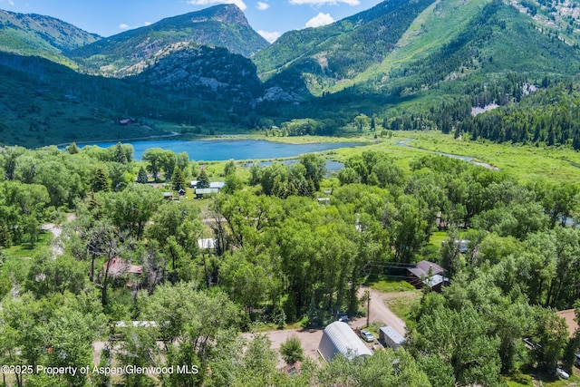 333 E State St, Marble, CO 81623 - photo 3