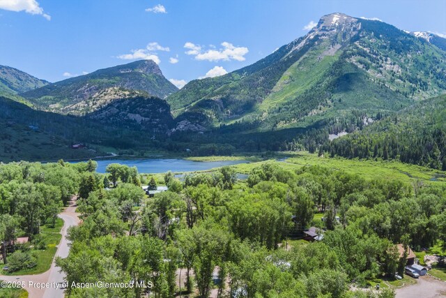 333 E State St, Marble, CO 81623 - photo 11