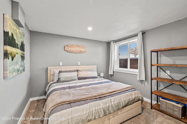 view of carpeted bedroom