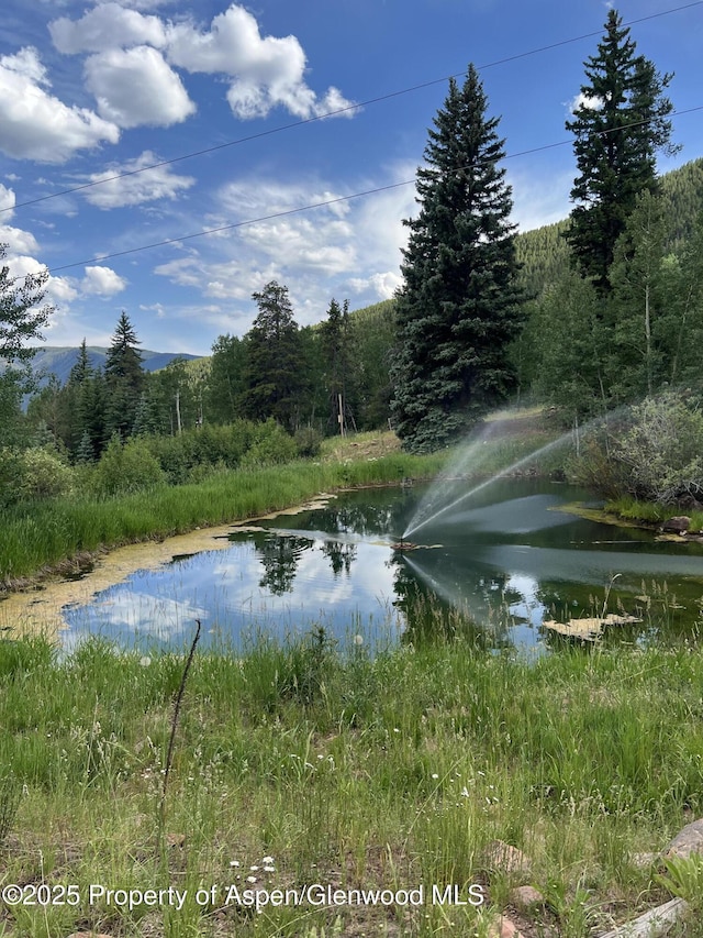 15405 Frying Pan Rd, Basalt, CO 81621 - water view with a forest