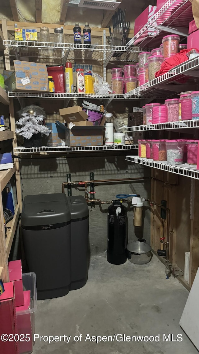 31 Hawthorne Way, Parachute, CO 81635 - view of storage area