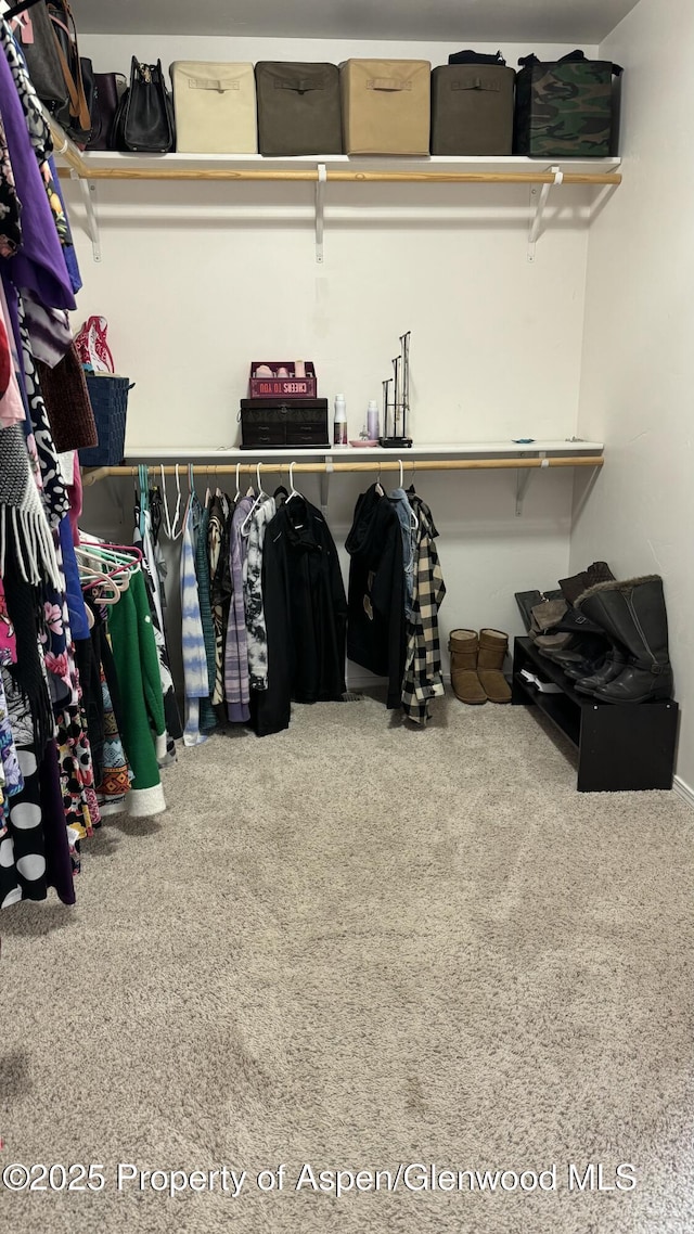 31 Hawthorne Way, Parachute, CO 81635 - walk in closet with carpet