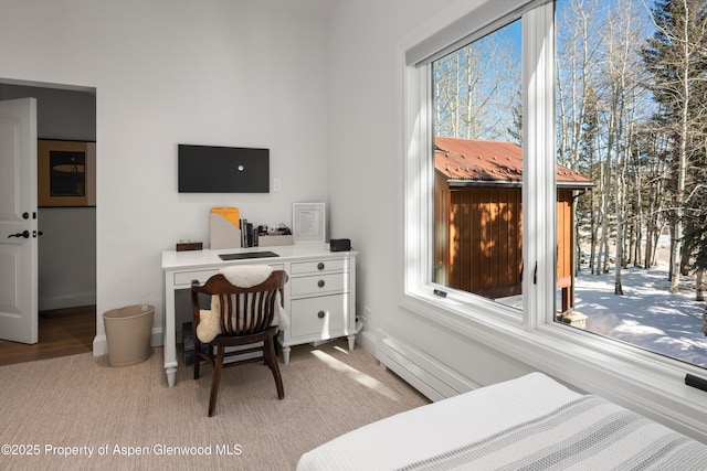 bedroom with access to exterior, multiple windows, and baseboards