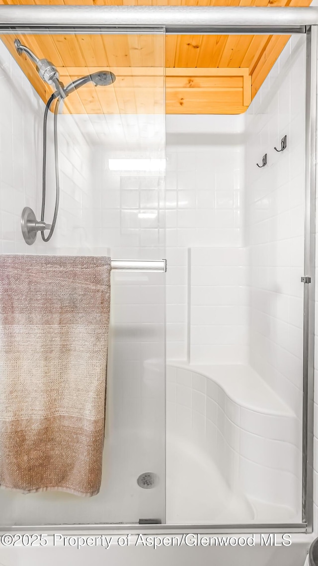 329 River Frontage Rd # 14, Silt, CO 81652 - bathroom featuring a shower stall