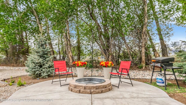 329 River Frontage Rd # 14, Silt, CO 81652 - view of patio / terrace with a fire pit and area for grilling