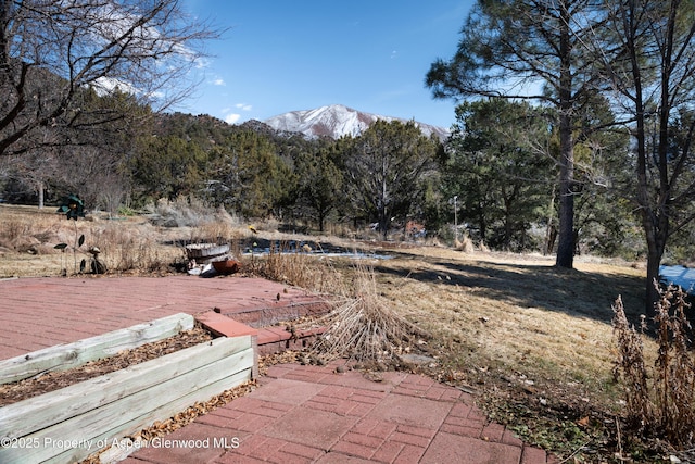 view of yard with a wooded view and a mountain view