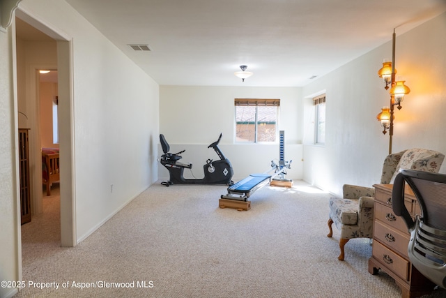 workout area with carpet and visible vents